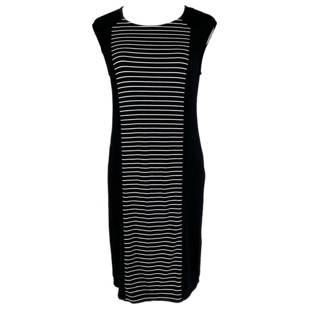 Chico’s Traveler’s Collection Stripe Dress NWT 0
